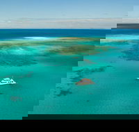 Great Barrier Reef Dive and Snorkel Cruise from Mission Beach - Attractions Melbourne