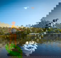 Walkabout Creek Adventures Stand Up Paddle Board Hire - Attractions Melbourne