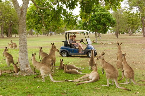 Small-Group Wildlife And Rainforest Tour From Port Douglas - Attractions Melbourne 0