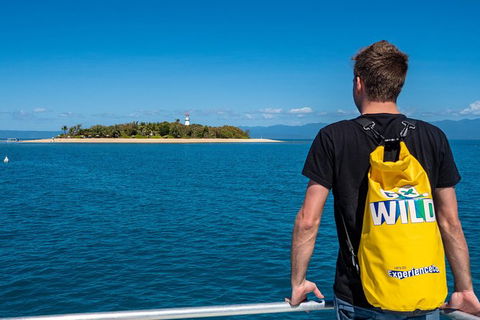 Half Day Low Isles Snorkelling Tour From Port Douglas - Attractions Melbourne 1