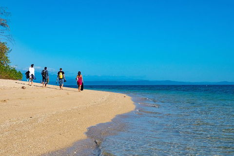 Half Day Low Isles Snorkelling Tour From Port Douglas - Attractions Melbourne 3