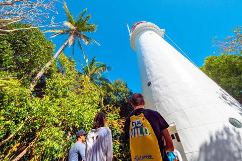Half Day Low Isles Snorkelling Tour From Port Douglas - Attractions Melbourne 7