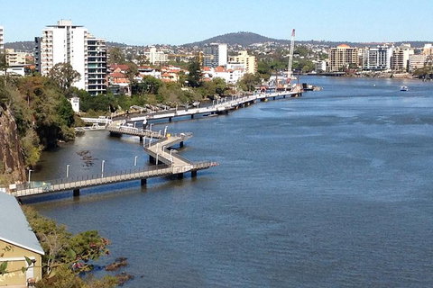 Brisbane City Highlights With Lone Pine! - Attractions Melbourne 4