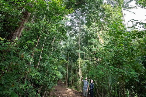 Whitsundays Tropical Rainforest, Waterfalls And Airlie Beach Eco Experience - Attractions Melbourne 1
