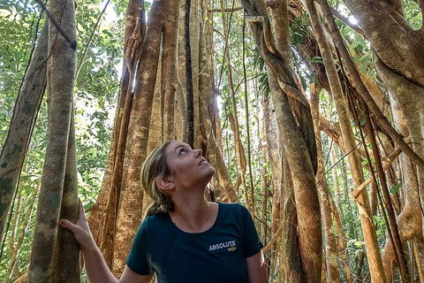 Whitsundays Tropical Rainforest, Waterfalls And Airlie Beach Eco Experience - Attractions Melbourne 14
