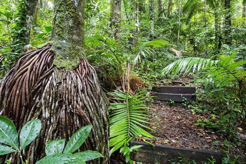 Whitsundays Tropical Rainforest, Waterfalls And Airlie Beach Eco Experience - Attractions Melbourne 7