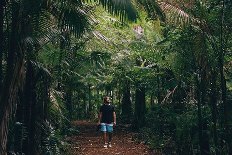 Whitsundays Tropical Rainforest, Waterfalls And Airlie Beach Eco Experience - Attractions Melbourne 5
