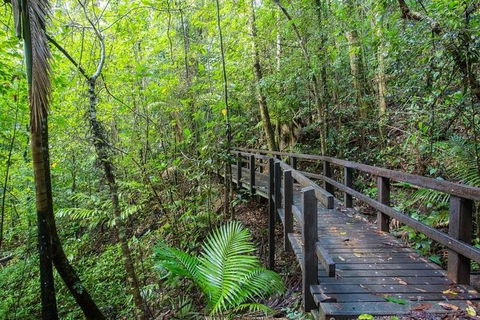 Whitsundays Tropical Rainforest, Waterfalls And Airlie Beach Eco Experience - Attractions Melbourne 3