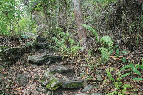Whitsundays Tropical Rainforest, Waterfalls And Airlie Beach Eco Experience - Attractions Melbourne 16