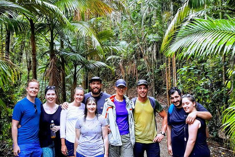 Whitsundays Tropical Rainforest, Waterfalls And Airlie Beach Eco Experience - Attractions Melbourne 15