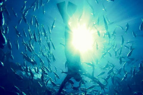 2-Day Whitsundays Sailing Adventure: SV Whitehaven - Attractions Melbourne 9