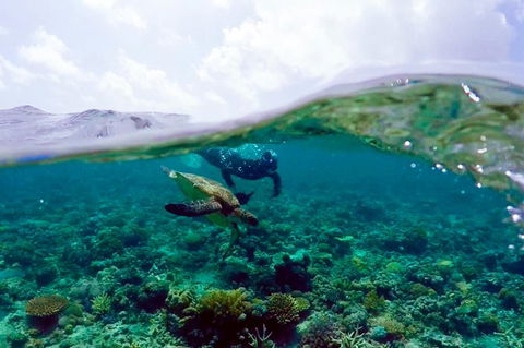 2-Day Whitsundays Sailing Adventure: Summertime - Attractions Melbourne 5