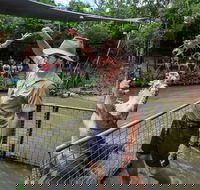 Hartley's Crocodile Adventures Day Trip from Cairns - Attractions Melbourne