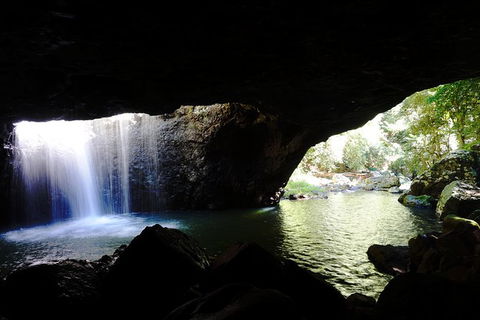 Rainforest & Waterfalls Extravaganza - Attractions Melbourne 5