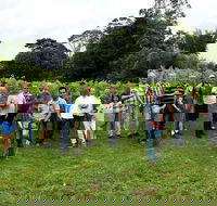 Full Day Mount Tamborine Winery Tour from Brisbane - Attractions Melbourne
