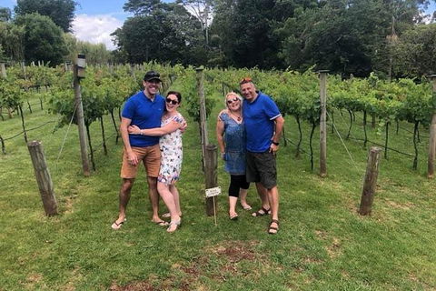 Full Day Mount Tamborine Winery Tour From Brisbane - Attractions Melbourne 5