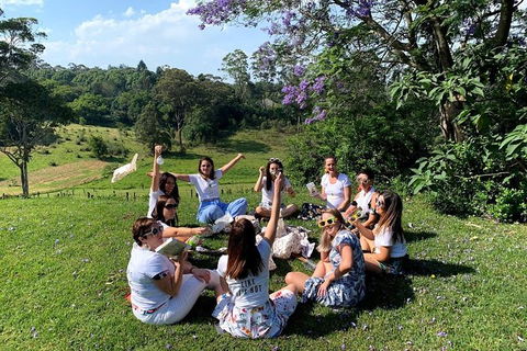 Full Day Mount Tamborine Winery Tour From Brisbane - Attractions Melbourne 10