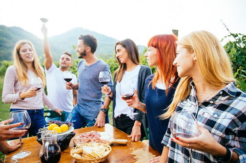 Full Day Mount Tamborine Winery Tour From Brisbane - Attractions Melbourne 13