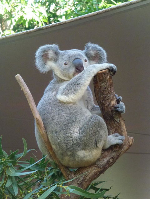 Whitehaven Beach And Hamilton Island Cruise - Attractions Melbourne 6