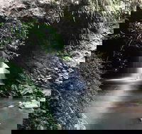 Small-Group 4WD Springbrook National Park Day Trip from Brisbane - Attractions Melbourne