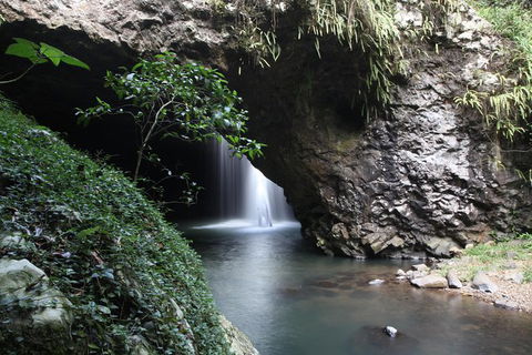 Small-Group 4WD Springbrook National Park Day Trip From Brisbane - Attractions Melbourne 0