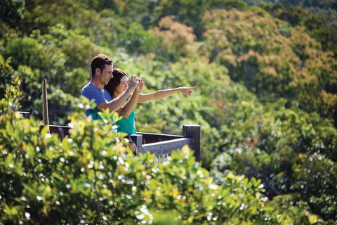 Conway National Park Coral Beach Walk Including Shute Harbour From Airlie Beach - Attractions Melbourne 0