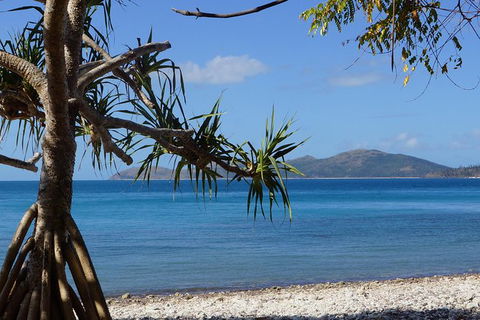 Conway National Park Coral Beach Walk Including Shute Harbour From Airlie Beach - Attractions Melbourne 1