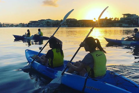 Surfers Paradise Sunset Kayak Tour - Attractions Melbourne 8