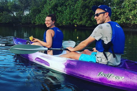Surfers Paradise Sunset Kayak Tour - Attractions Melbourne 10
