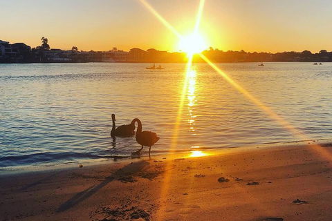 Surfers Paradise Sunset Kayak Tour - Attractions Melbourne 9