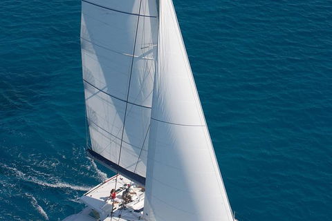 Afternoon Low Isles Snorkeling And Sailing Cruise From Port Douglas - Attractions Melbourne 1