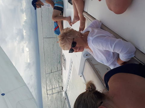 Afternoon Low Isles Snorkeling And Sailing Cruise From Port Douglas - Attractions Melbourne 5