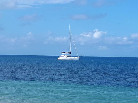 Afternoon Low Isles Snorkeling And Sailing Cruise From Port Douglas - Attractions Melbourne 7