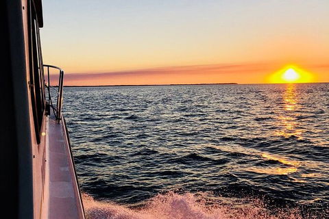 Hervey Bay Whale Swim And Watch - Attractions Melbourne 7