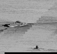 Overnight Tweed Coast Camping and Surfing Getaway From The Gold Coast - Attractions Melbourne