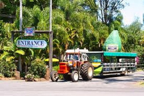 Tropical Fruit World With Wildlife Boat Cruise From Gold Coast - Attractions Melbourne 2