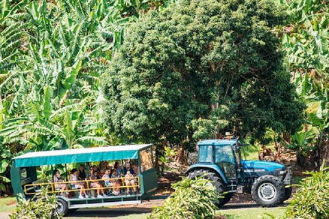 Tropical Fruit World With Wildlife Boat Cruise From Gold Coast - Attractions Melbourne 14