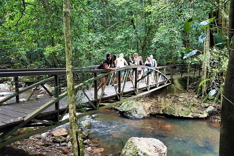 Springbrook Half Day Tour - Attractions Melbourne 1