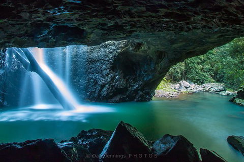 Springbrook Half Day Tour - Attractions Melbourne 0