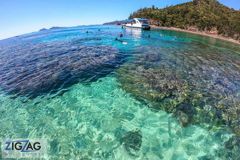 Whitehaven Beach Day Tour With Snorkel In Whitsundays Island - Attractions Melbourne 8