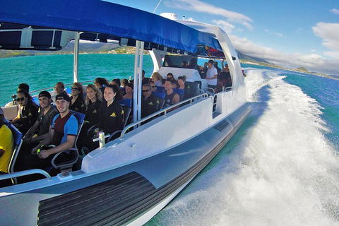 Whitehaven Beach Day Tour With Snorkel In Whitsundays Island - Attractions Melbourne 12