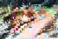 1770 CASTAWAY SURVIVOR 3 Day 2 Night Island Adventure Tour