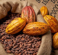 Charley's Chocolate Factory Tour Mission Beach Including Aussie Farm Lunch - Attractions Melbourne