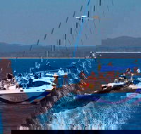 Blue Dolphin Exclusive Whale Watch Encounters - Attractions Melbourne