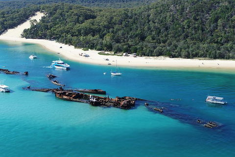 All Inclusive Dolphin And Tangalooma Wrecks Cruise Departing Gold Coast - Attractions Melbourne 0