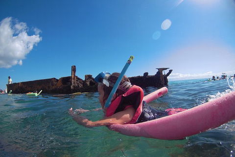All Inclusive Dolphin And Tangalooma Wrecks Cruise Departing Gold Coast - Attractions Melbourne 1