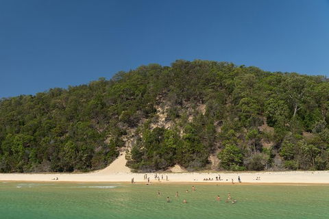 All Inclusive Dolphin And Tangalooma Wrecks Cruise Departing Gold Coast - Attractions Melbourne 3