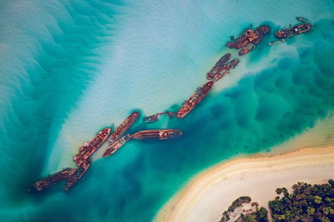 All Inclusive Dolphin And Tangalooma Wrecks Cruise Departing Gold Coast - Attractions Melbourne 6
