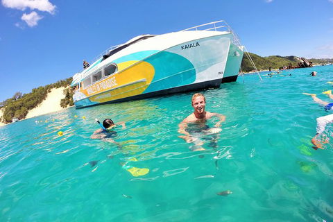 All Inclusive Dolphin And Tangalooma Wrecks Cruise Departing Gold Coast - Attractions Melbourne 2