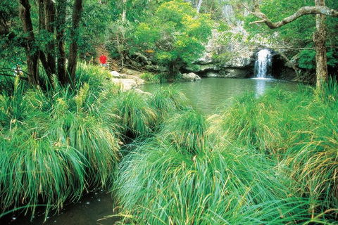 Explore Maleny, Montville, And Take A Swim Under The Waterfall. - Attractions Melbourne 3